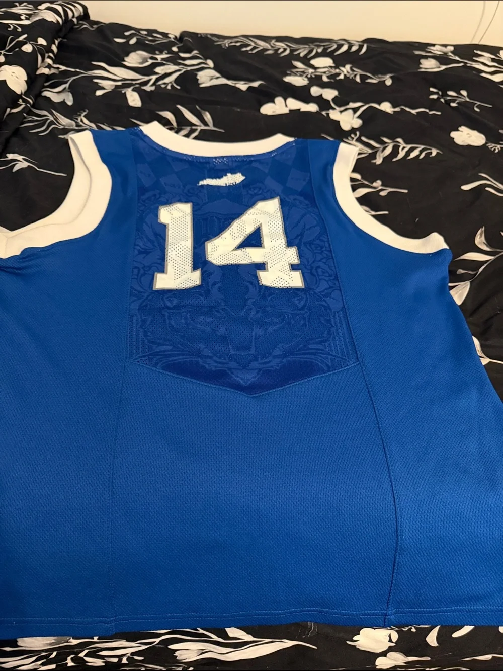 Nike Blue and White Kentucky Basketball Jersey #14